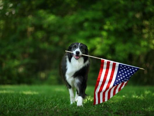 Simple ways to mark Memorial Day 